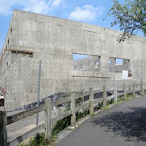 Elephant Exhibit Construction