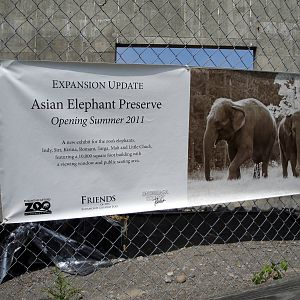 Elephant Exhibit Construction