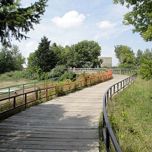 Elephant Exhibit Construction