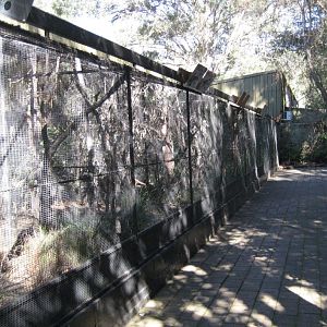 Conservation aviaries