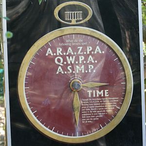 Conservation Clock