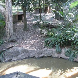 Dingo enclosure