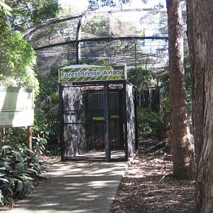Forest Fringe Aviary