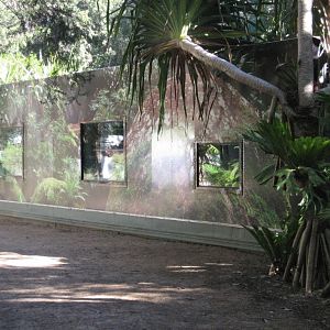 Frog Breeding Container