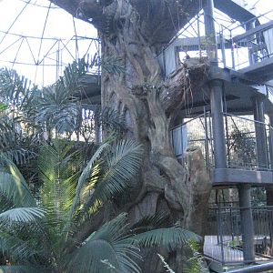 Green Cauldron interior