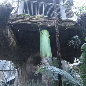 Green Cauldron interior