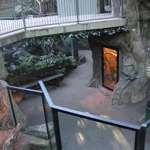 Green Cauldron interior