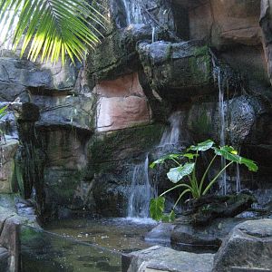 Green Cauldron interior