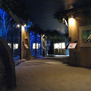 Green Cauldron interior