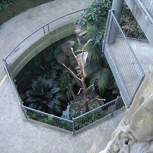 Green Cauldron interior