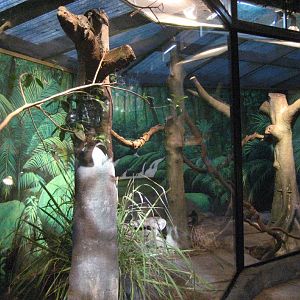 Lace Monitor Enclosure