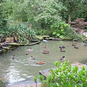 Hillside Open Day 08/08/10