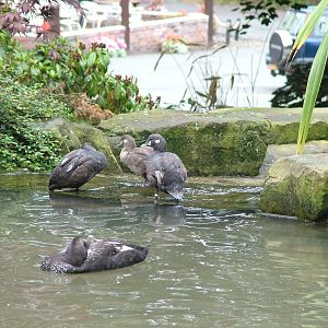 Hillside Open Day 08/08/10