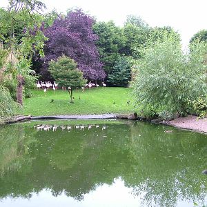 Hillside Open Day 08/08/10