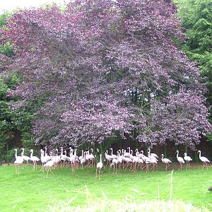 Hillside Open Day 08/08/10