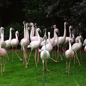 Hillside Open Day 08/08/10