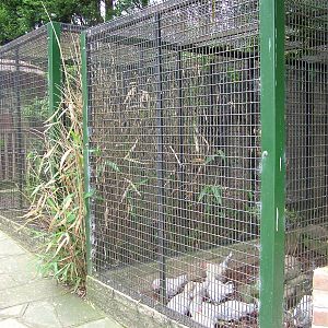 Hillside Open Day 08/08/10