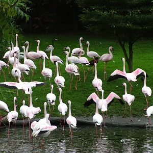 Hillside Open Day 08/08/10