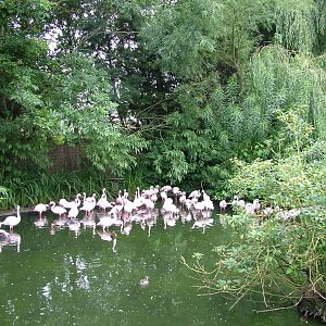 Hillside Open Day 08/08/10