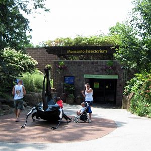 Insectarium