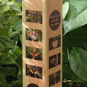 Butterfly Journey - New Identification Boards