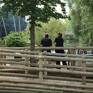 Miniature Boats at Chester Zoo