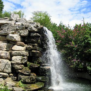 Lemur Island Waterfall
