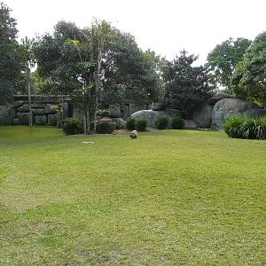 Wombat enclosure