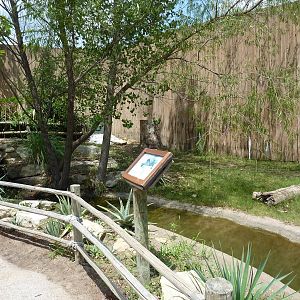 Aldabra Tortoise Enclosure