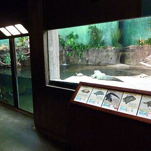 Yangtze River Tank