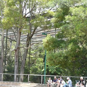 Forest aviary seen from flight display arena