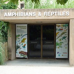 Reptile + Amphibian Building