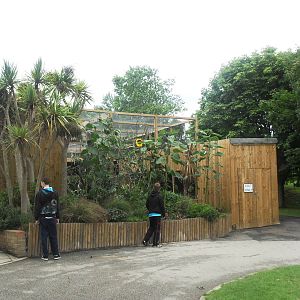 Madagascan exhibit