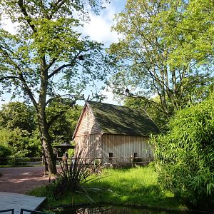 Lemurenland Artis August 2010