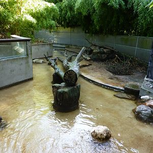 Nutria exhibit Artis August 2010
