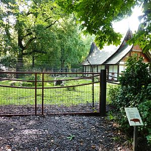 Minangkabause House Artis August 2010