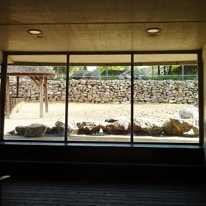 African Savannah exhibit Artis August 2010