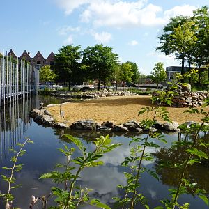 African Savannah exhibit Artis August 20
