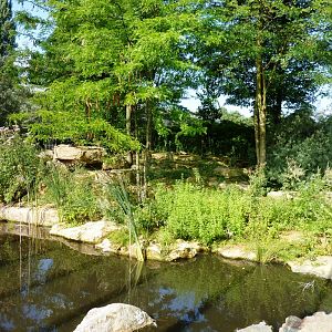 African Savannah exhibit Artis August 20