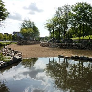 African Savannah exhibit Artis August 20