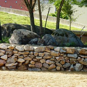 African Savannah exhibit Artis August 2010