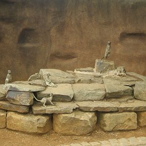 Meerkat Statue/Bench