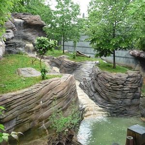 Small-clawed Otter Yard