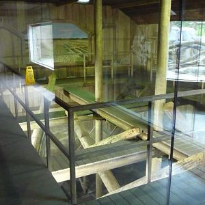 Sun Bear Indoor Holding