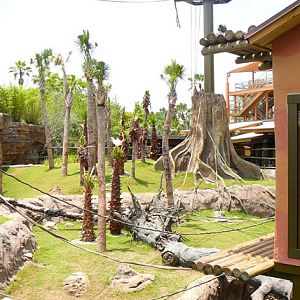 North Orangutan Habitat