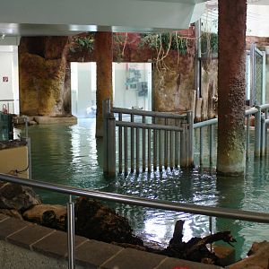 Interior of the Hippo house @ Vienna 21.4.08