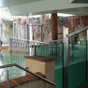 Interior of the Hippo house @ Vienna 21.4.08