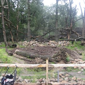 Burgers Zoo - Sun Bear exhibit