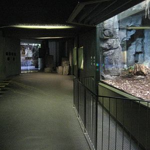Entrance area