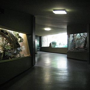 Begin of the daylight department